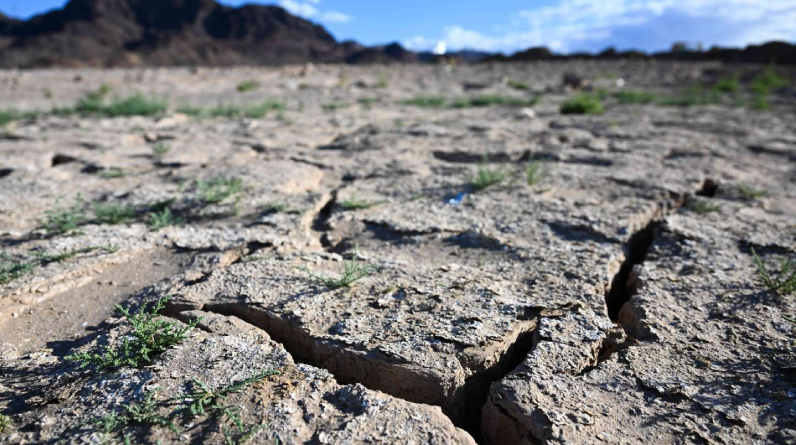When Al Jazeera asked, "What does it mean to be in a drought?"